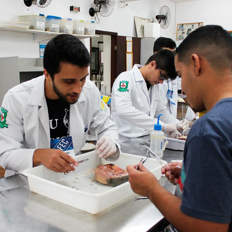 Infraestrutura do curso de Medicina